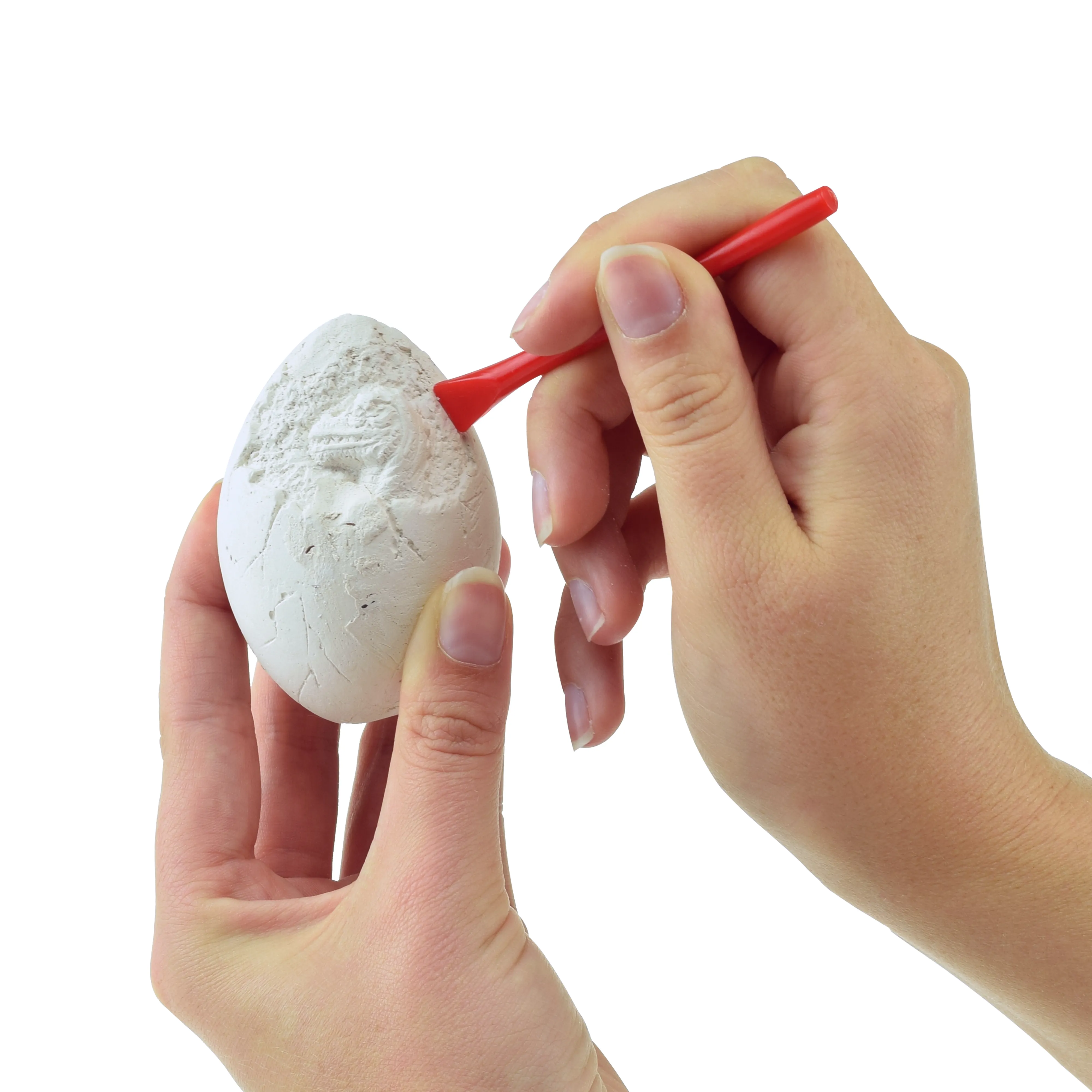 Toi-Toys - WORLD OF DINOSAURS Ausgrabungsset Dinosaurier