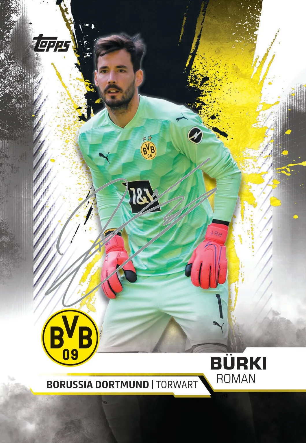 Topps BVB TEAM SET Sammelkarten