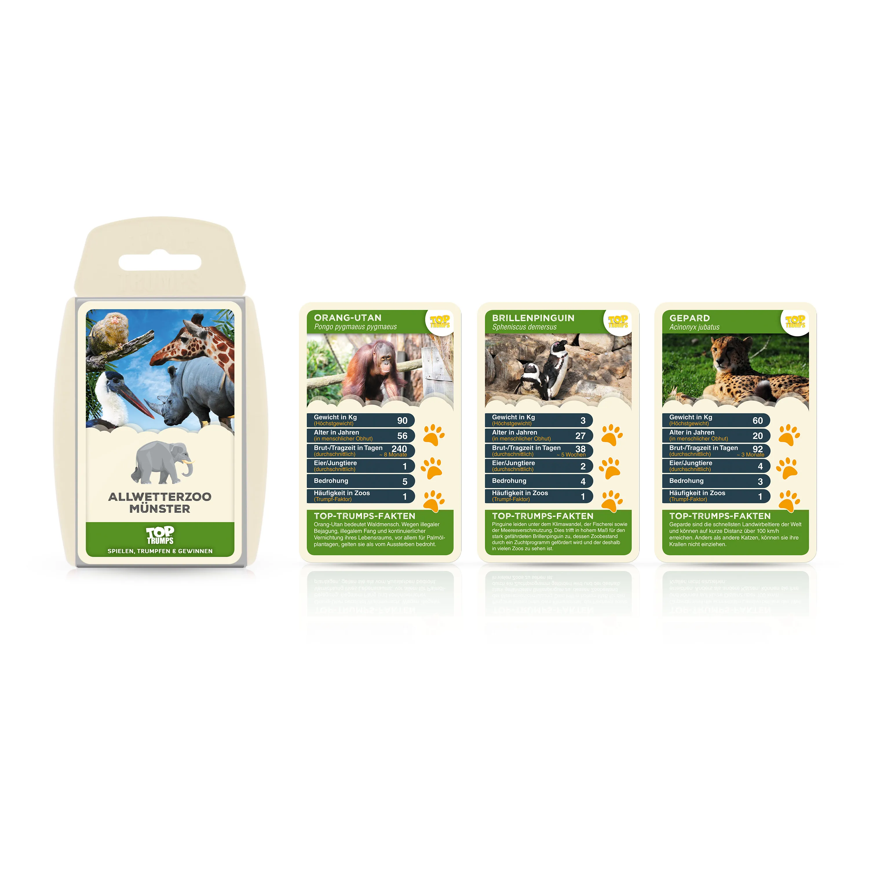 Monopoly Münster 2022 inkl. Top Trumps Quartettspiel