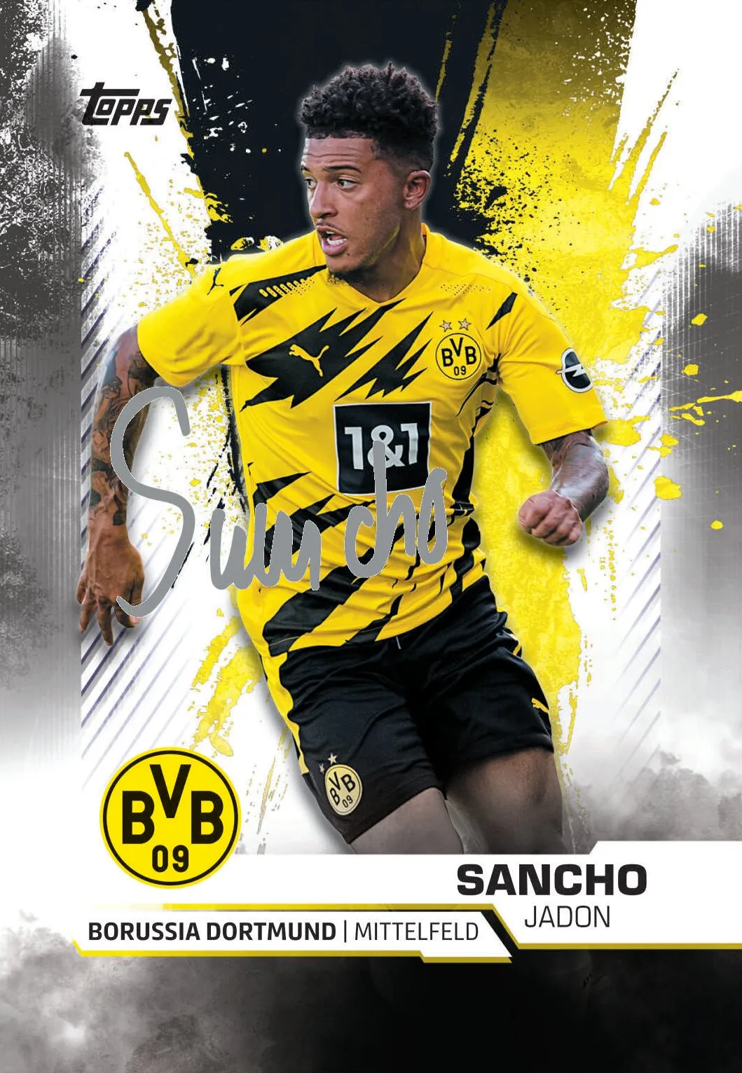 Topps BVB TEAM SET Sammelkarten