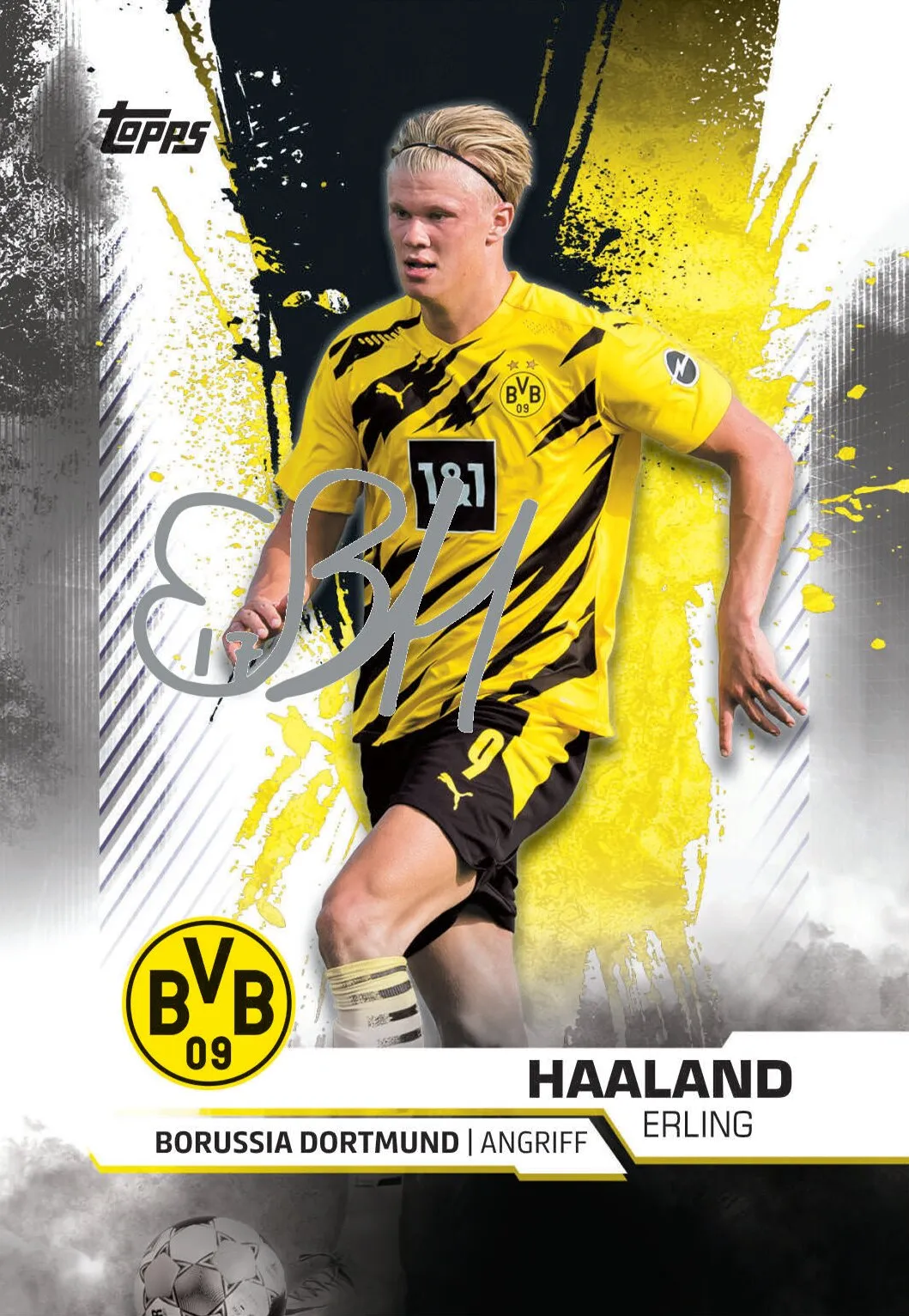 Topps BVB TEAM SET Sammelkarten