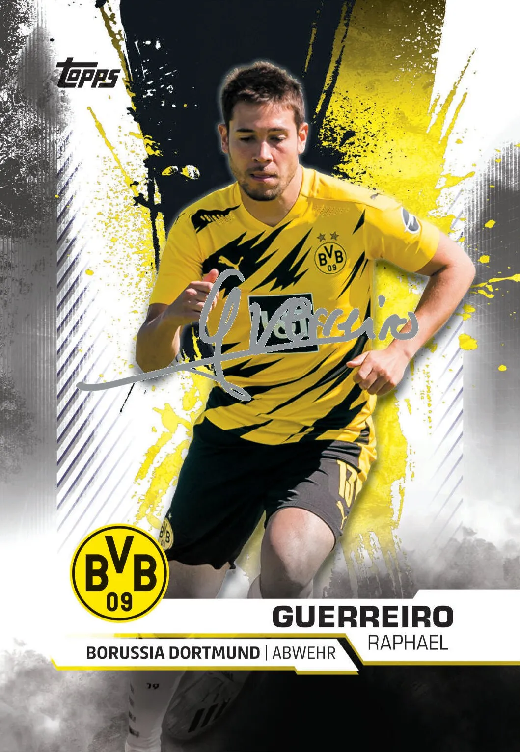 Topps BVB TEAM SET Sammelkarten