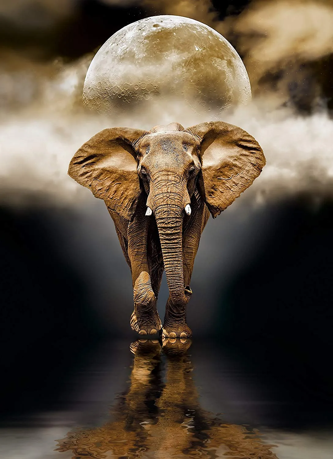 Clementoni High Quality Collection Puzzle Der Elefant 1000 Teile