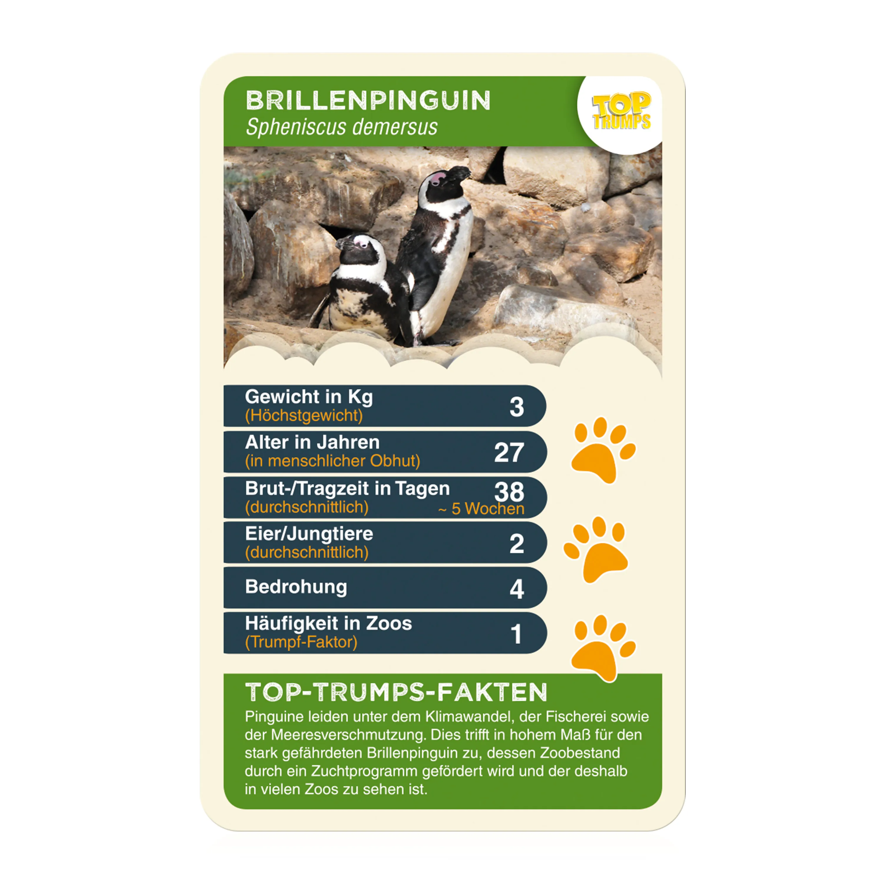 Monopoly Münster 2022 inkl. Top Trumps Quartettspiel