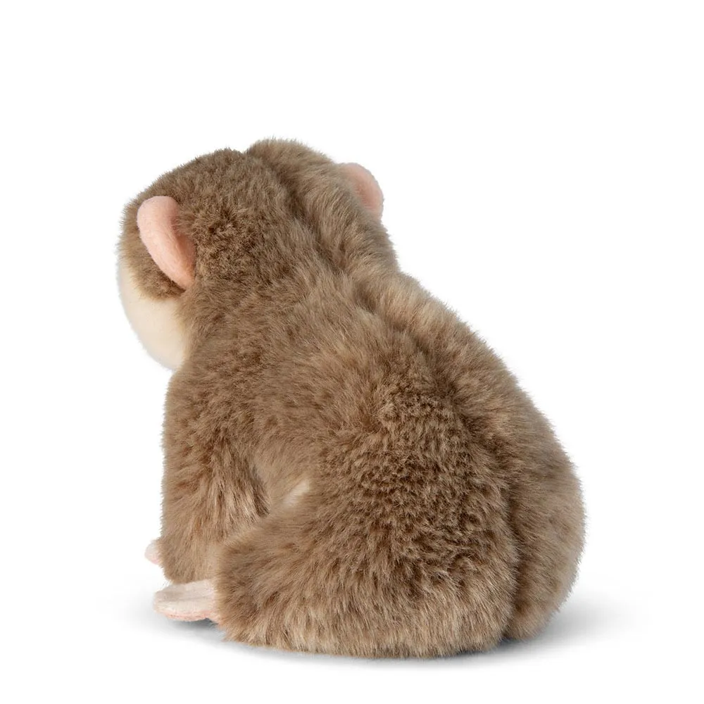 WWF - Plüschtier - Faulaffe [Loris] (18cm)