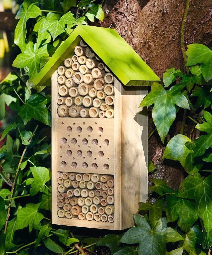 Expedition Natur Bienenhotel + Buch Brummsumm (Entdecke die Welt der Honigbiene)