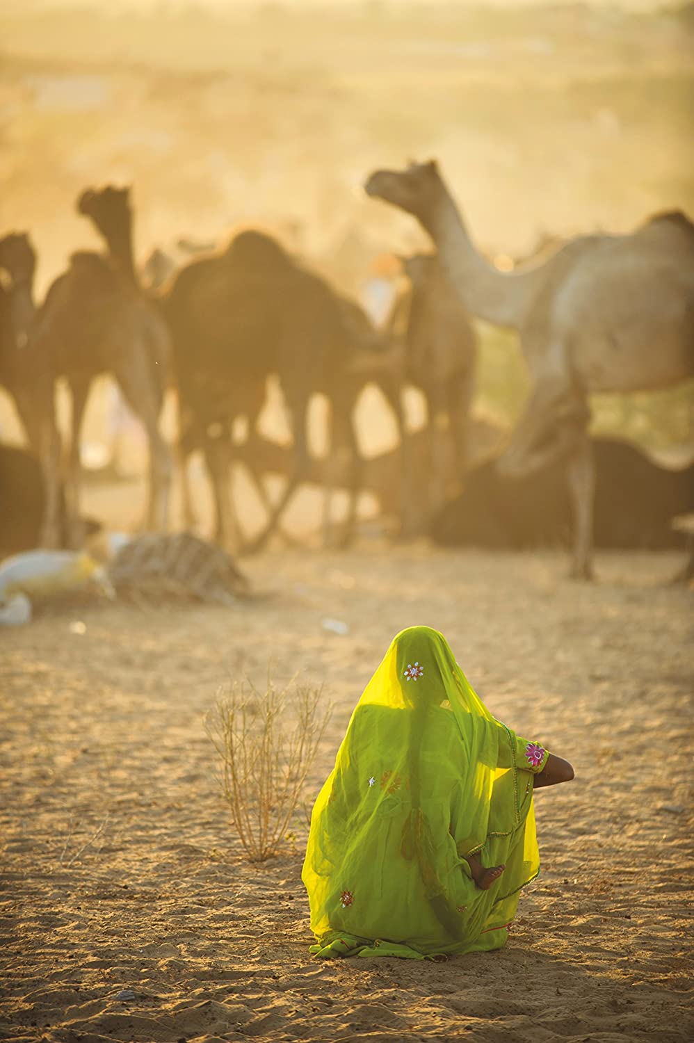 Clementoni Puzzle National Geographic "Sari" 1000 Teile