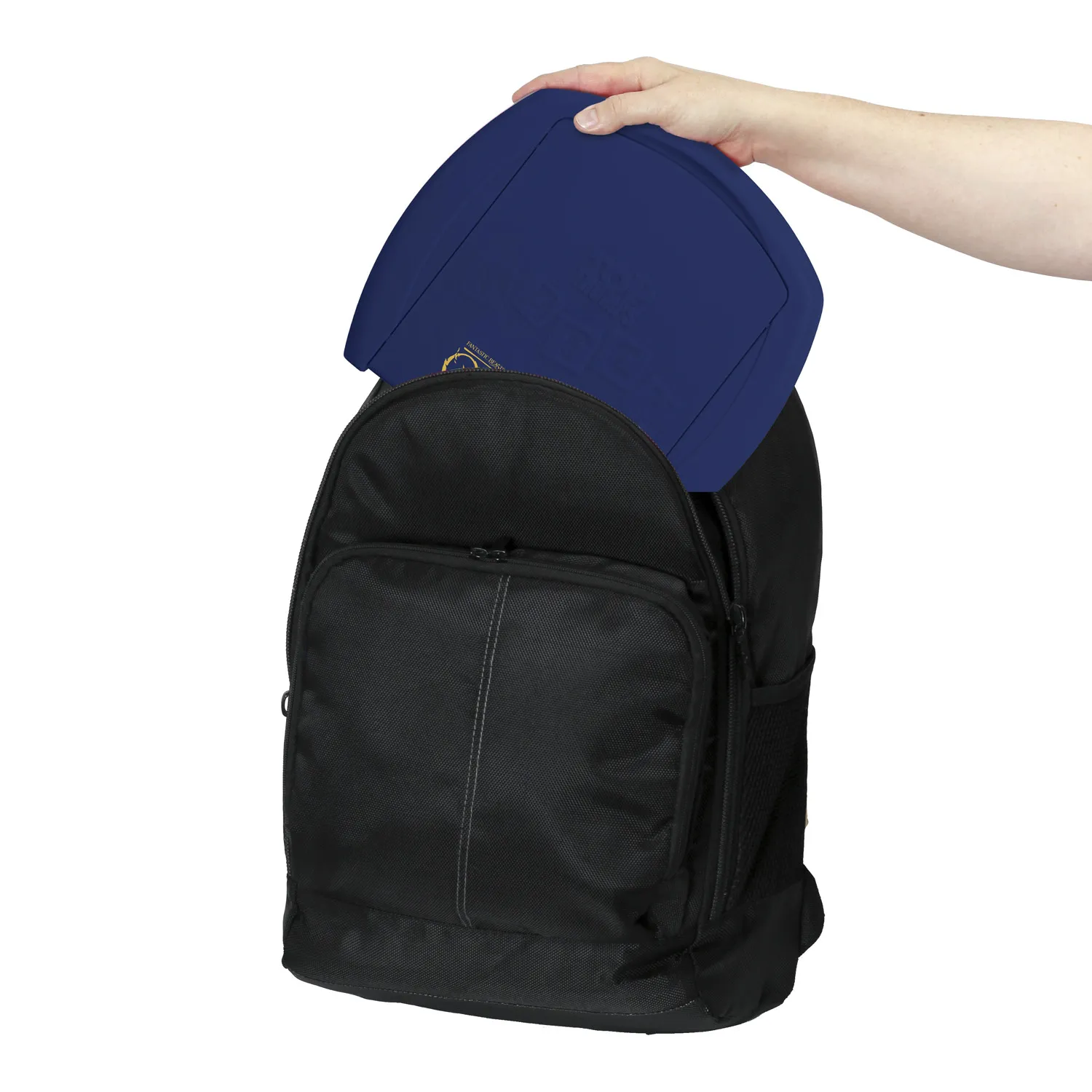 Top Trumps Match Fantastic Beasts / Fantastische Tierwesen