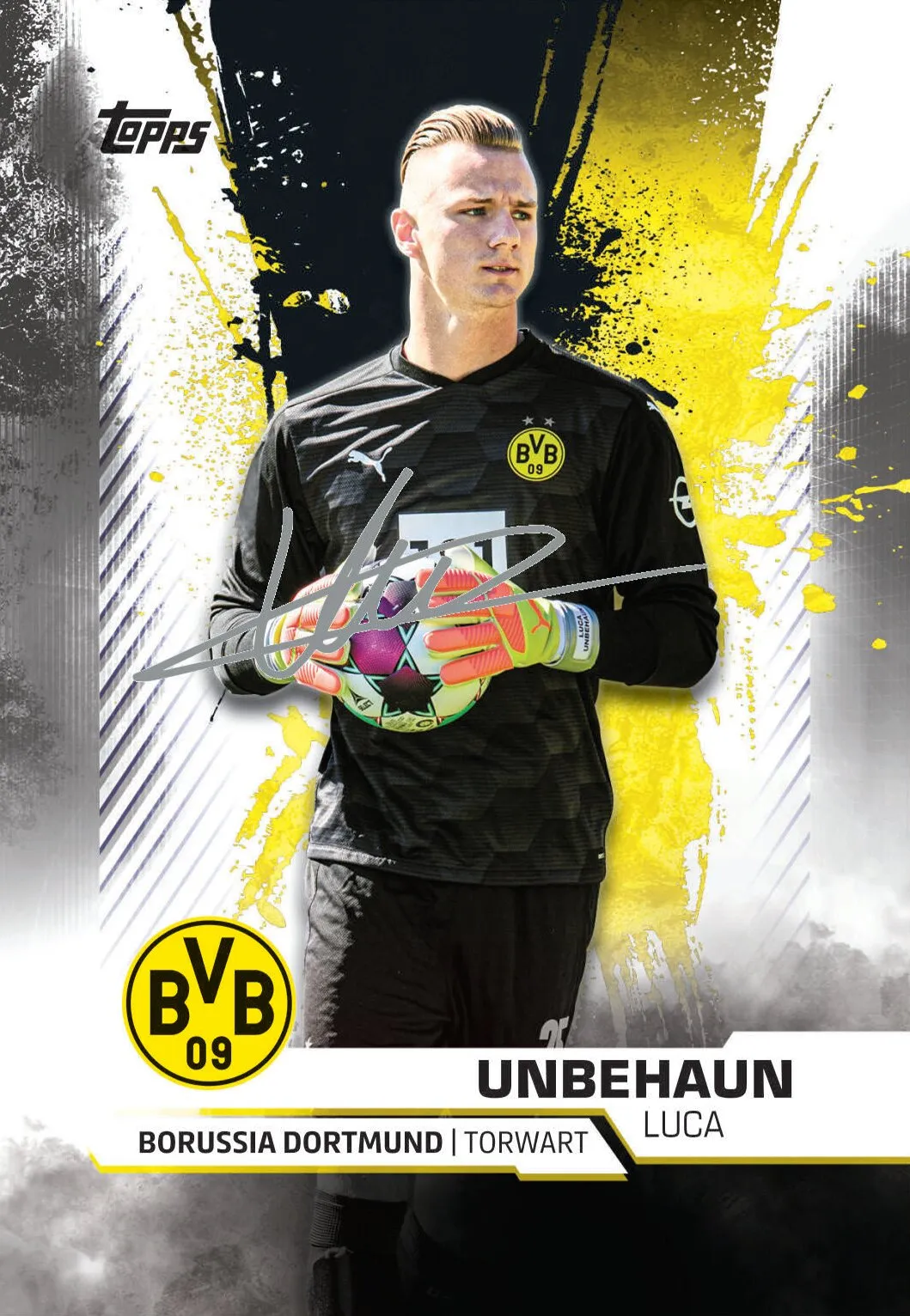 Topps BVB TEAM SET Sammelkarten
