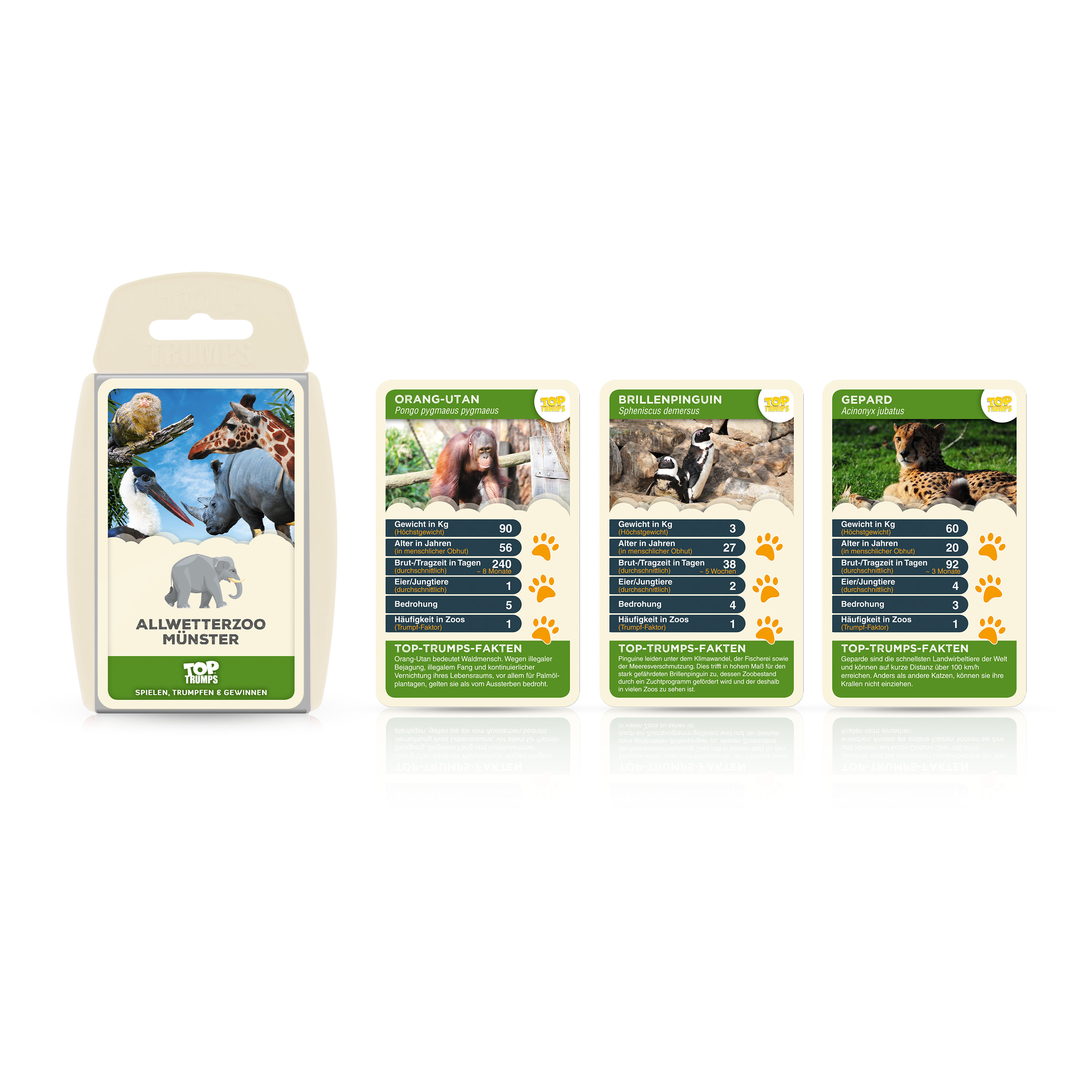 Monopoly Münster 2022 inkl. Top Trumps Quartettspiel 
