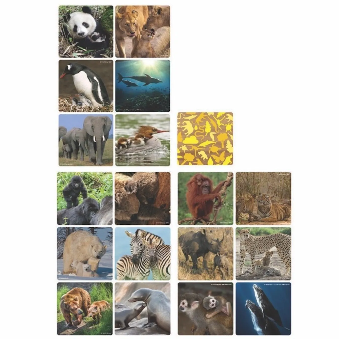 WWF Memo-Spiel "Familien"