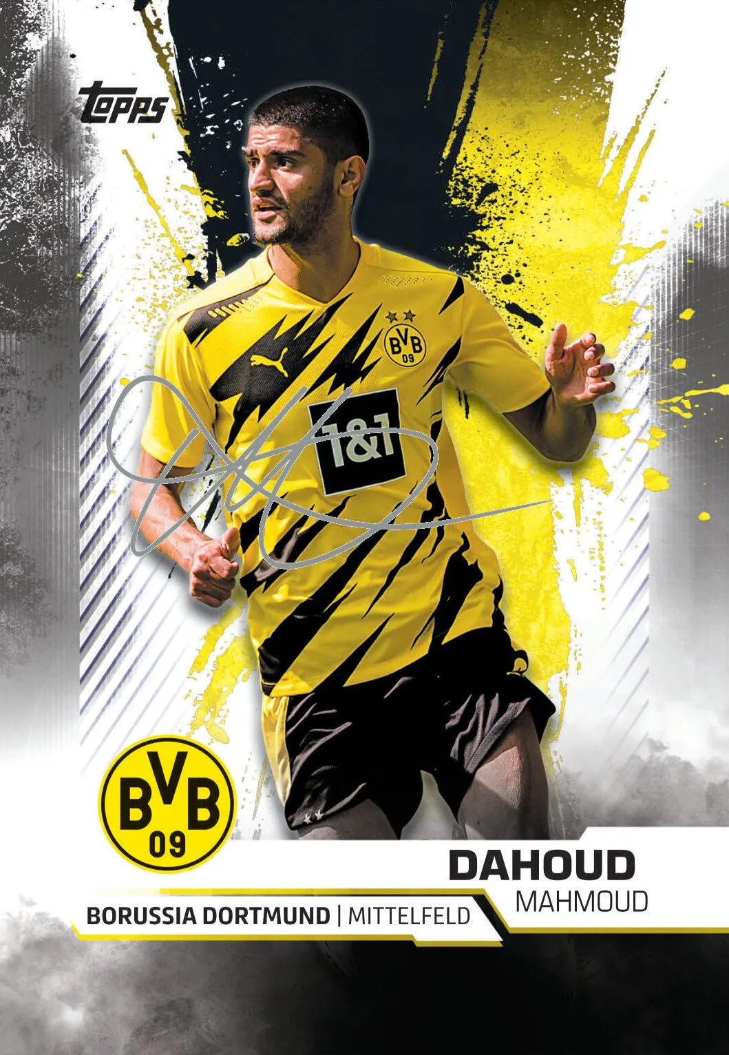 Topps BVB TEAM SET Sammelkarten