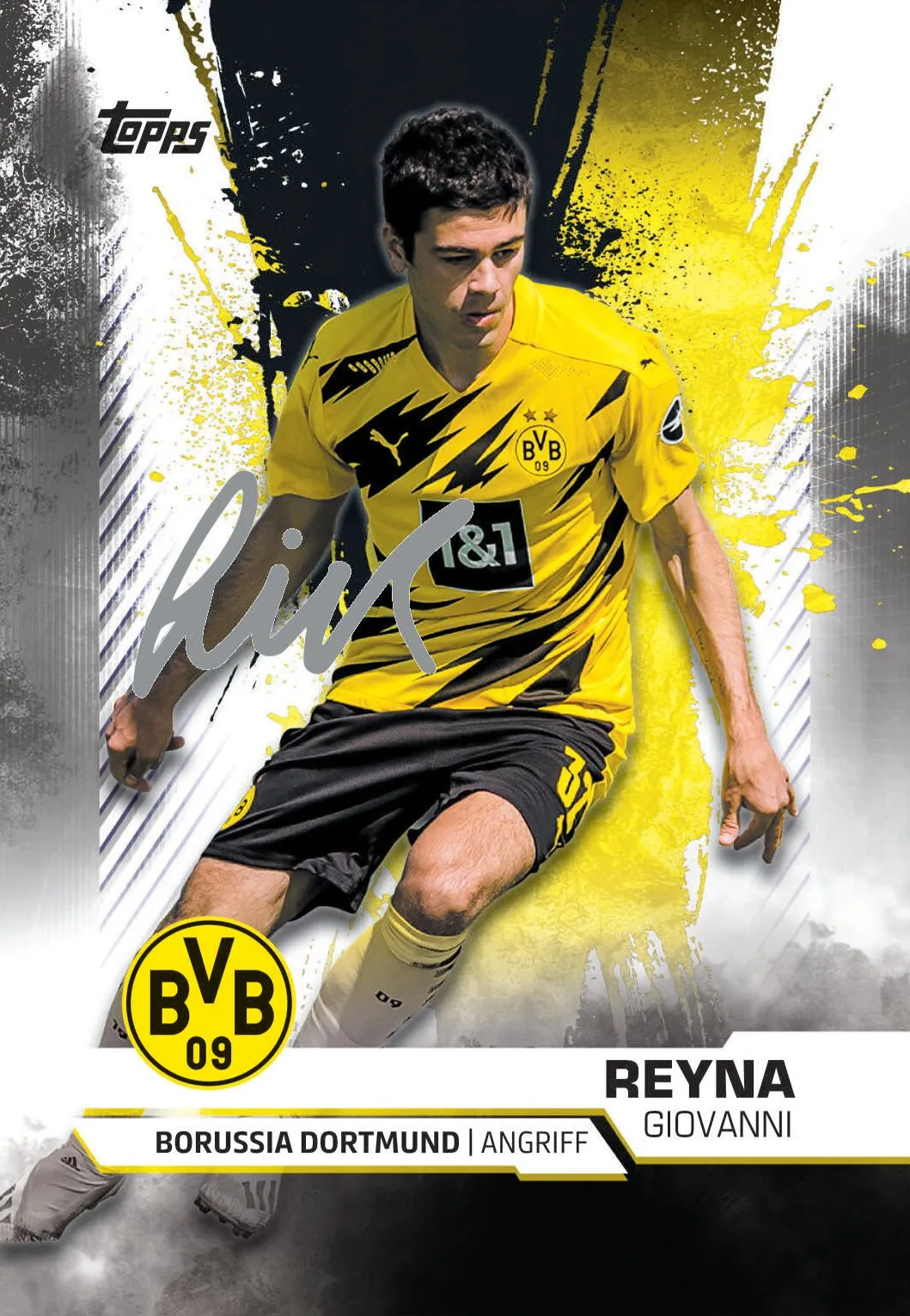 Topps BVB TEAM SET Sammelkarten