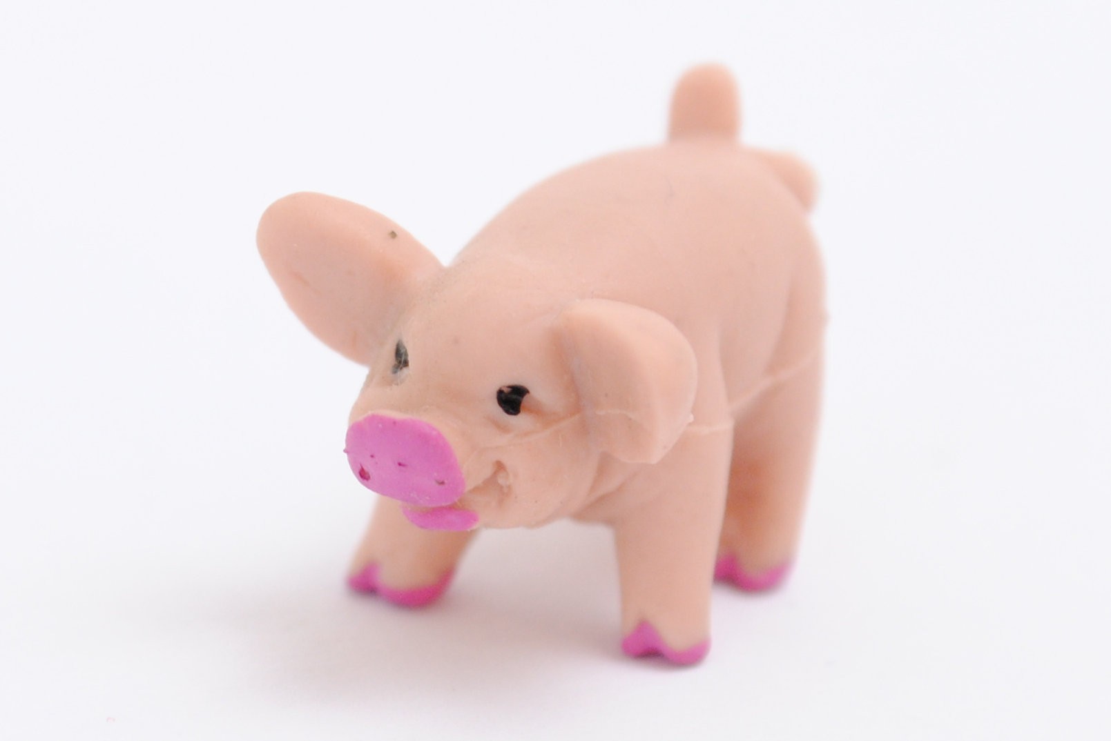 Schweinerei Schweinchen