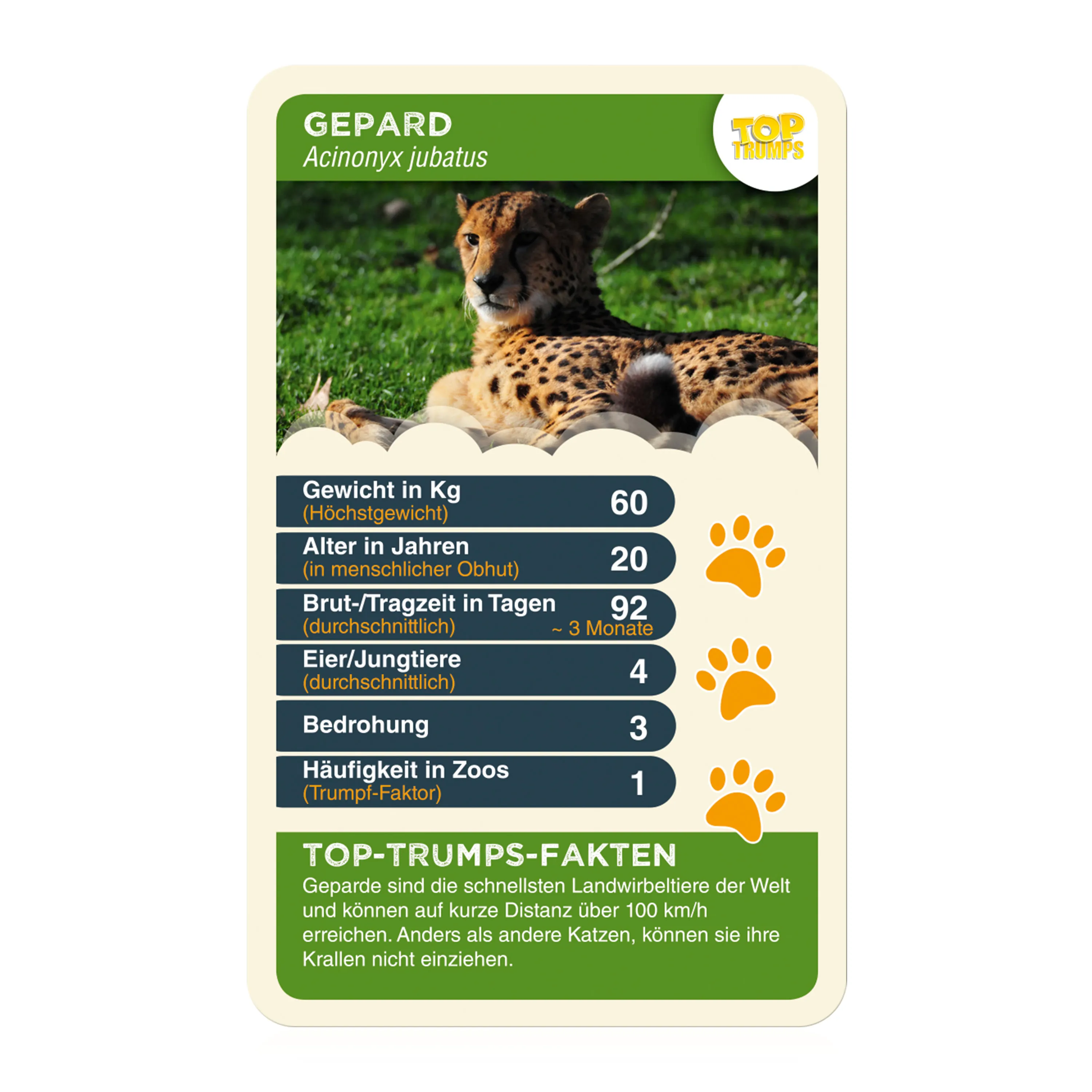 Monopoly Münster 2022 inkl. Top Trumps Quartettspiel