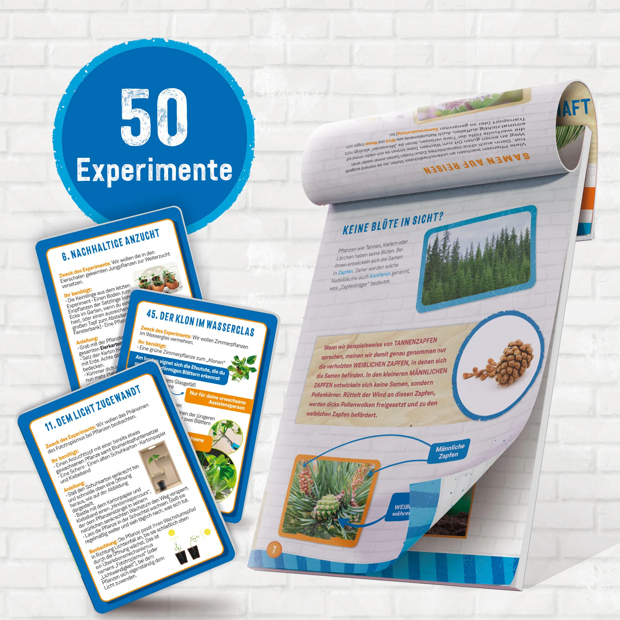 Lisciani DE97364WG - Woozle Goozle Die Wissenschaft der Bäume