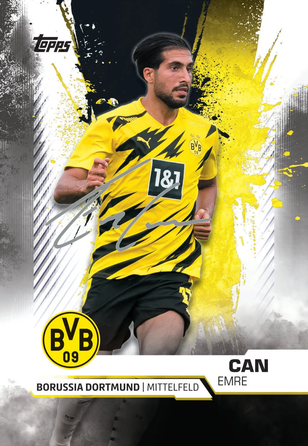 Topps BVB TEAM SET Sammelkarten