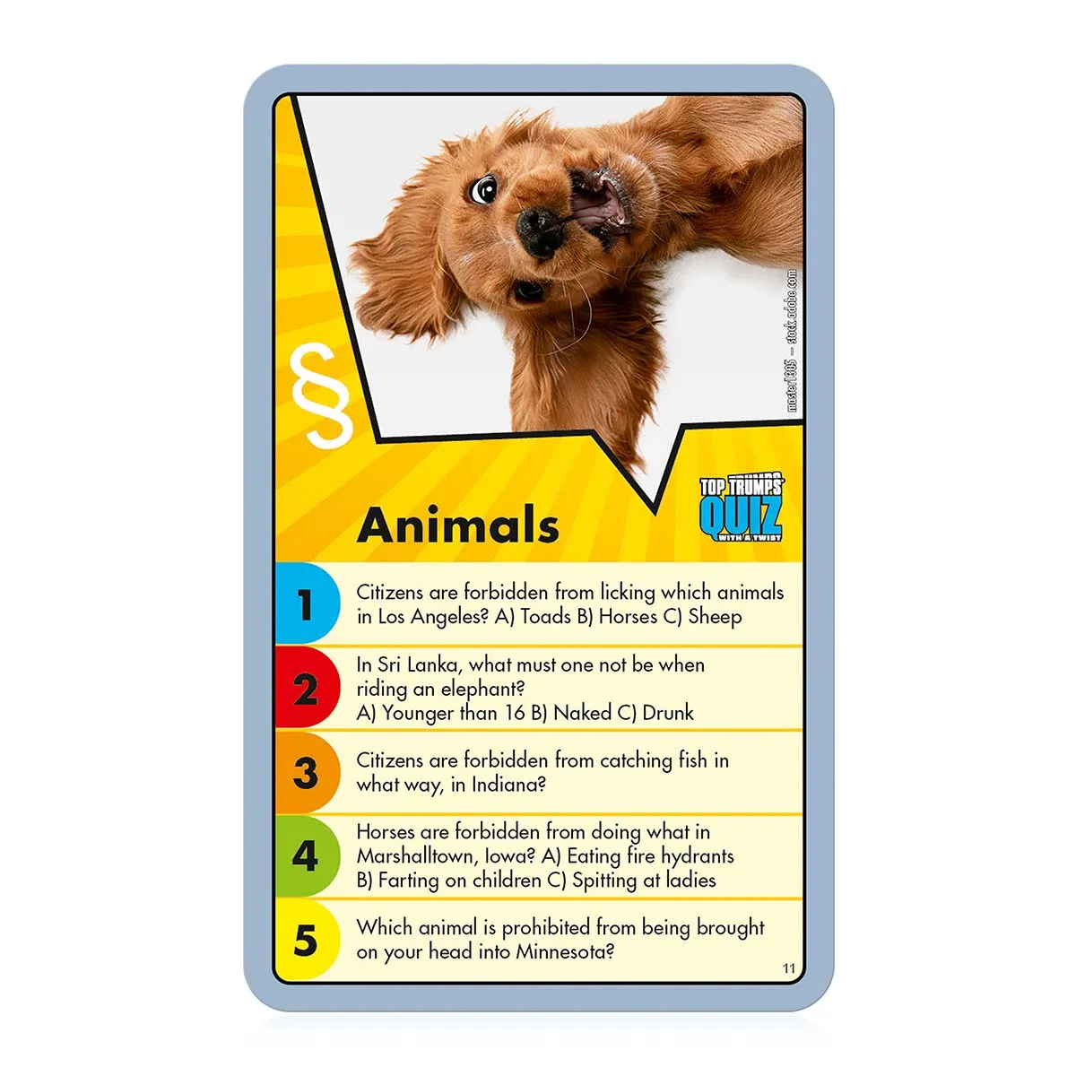 Top Trumps Quiz - Don't get the moose drunk! – crazy laws worldwide (englisch)