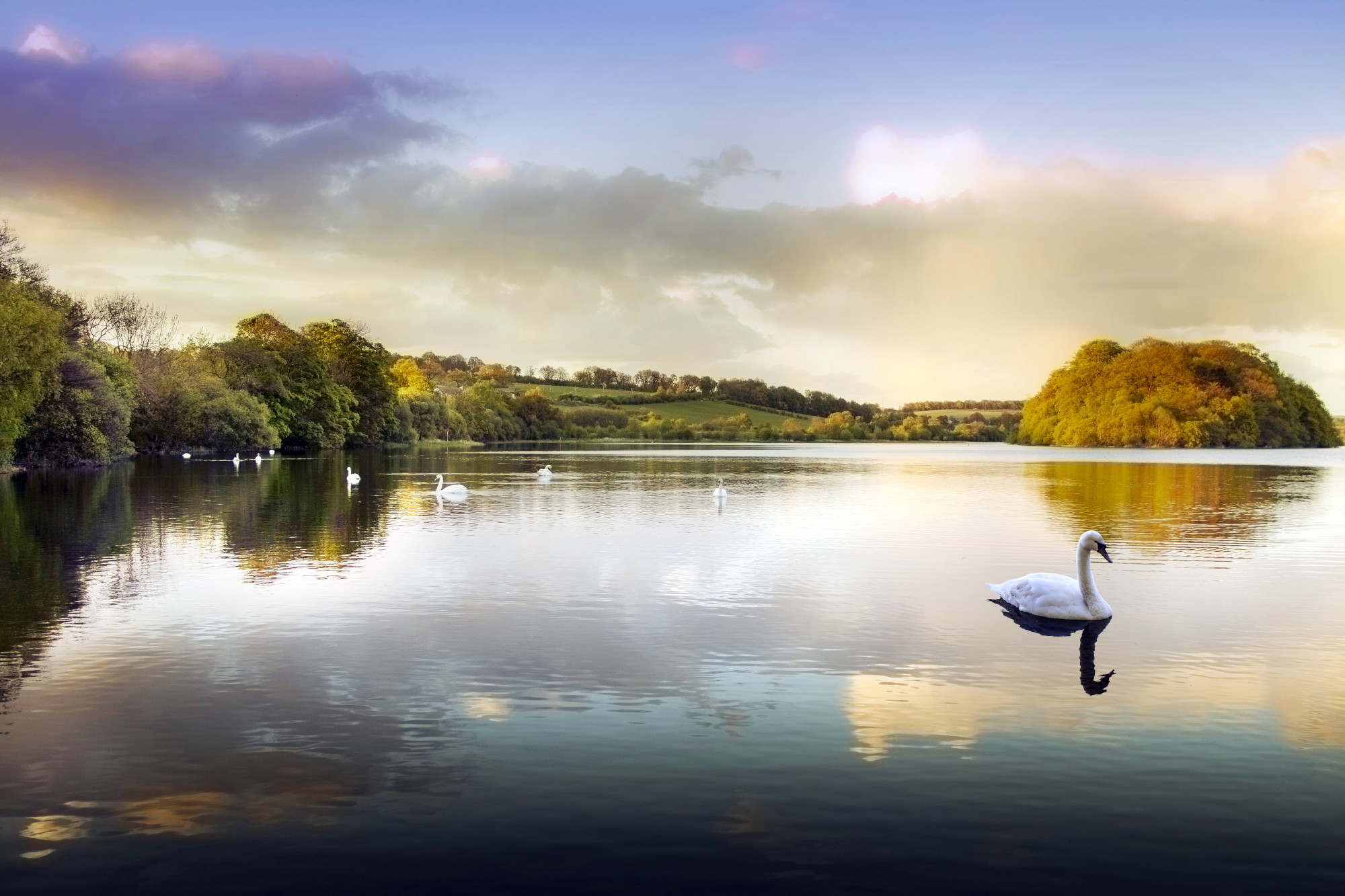Puzzle inkl. Matte - Sunset on Swan Lake (1000 Teile)