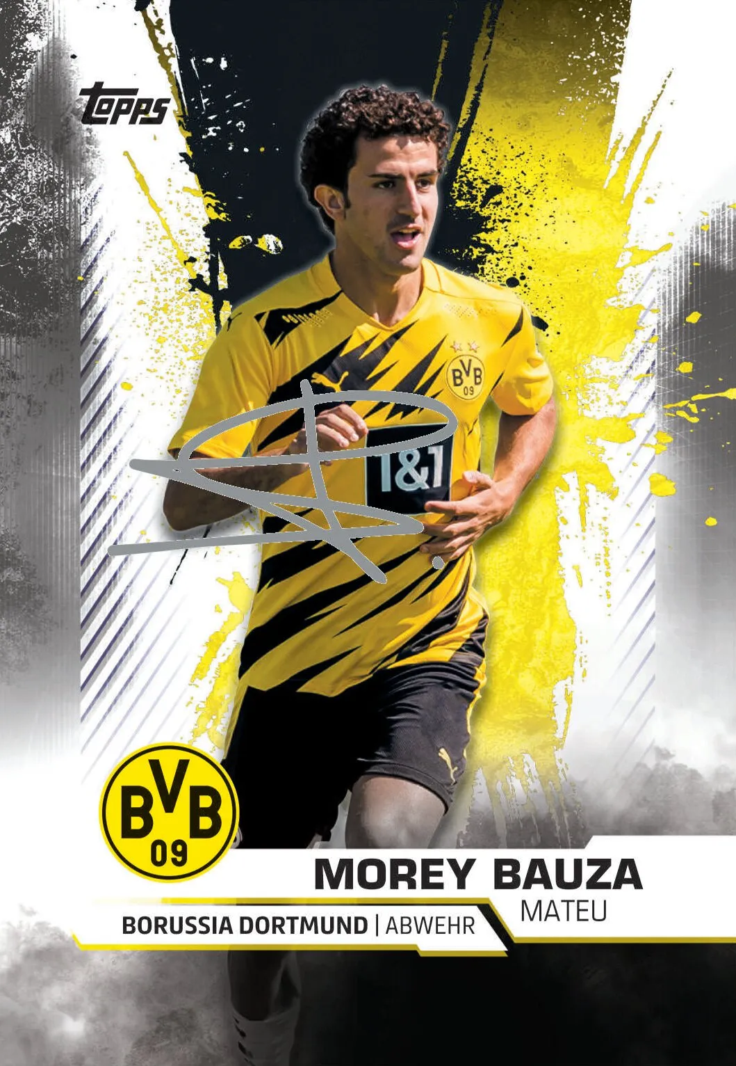 Topps BVB TEAM SET Sammelkarten