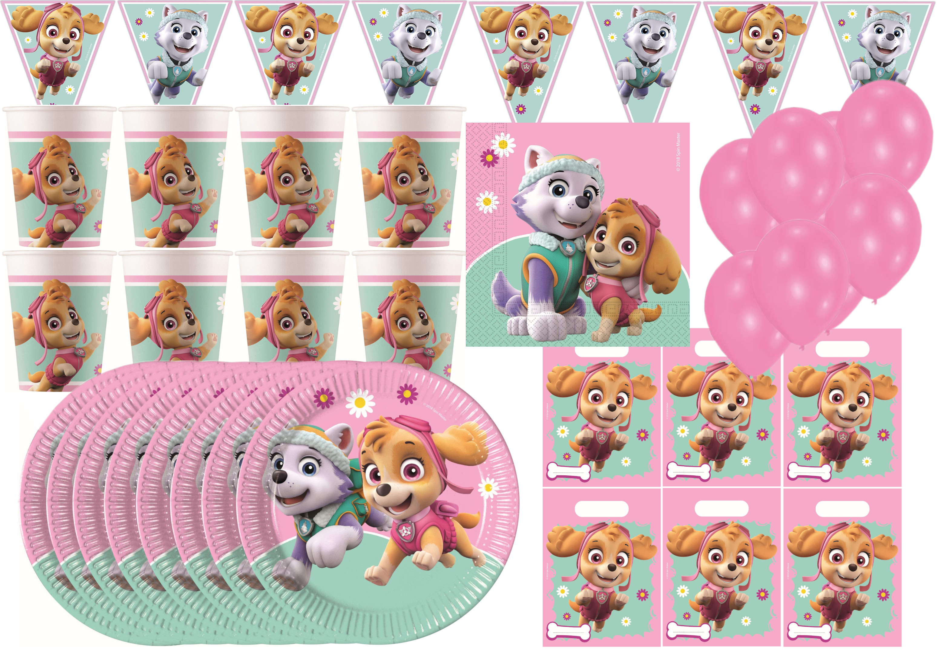 Paw Patrol Skye - Kindergeburtstags-Set (68-teilig)