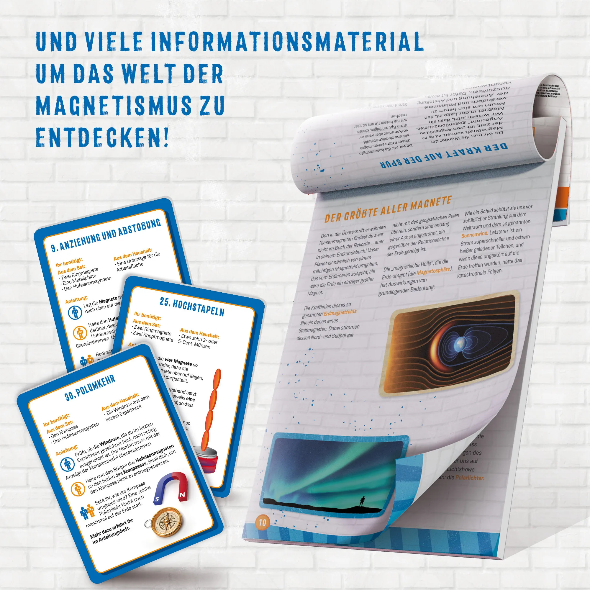 Lisciani DE89345WG - Woozle Goozle Magnetismus