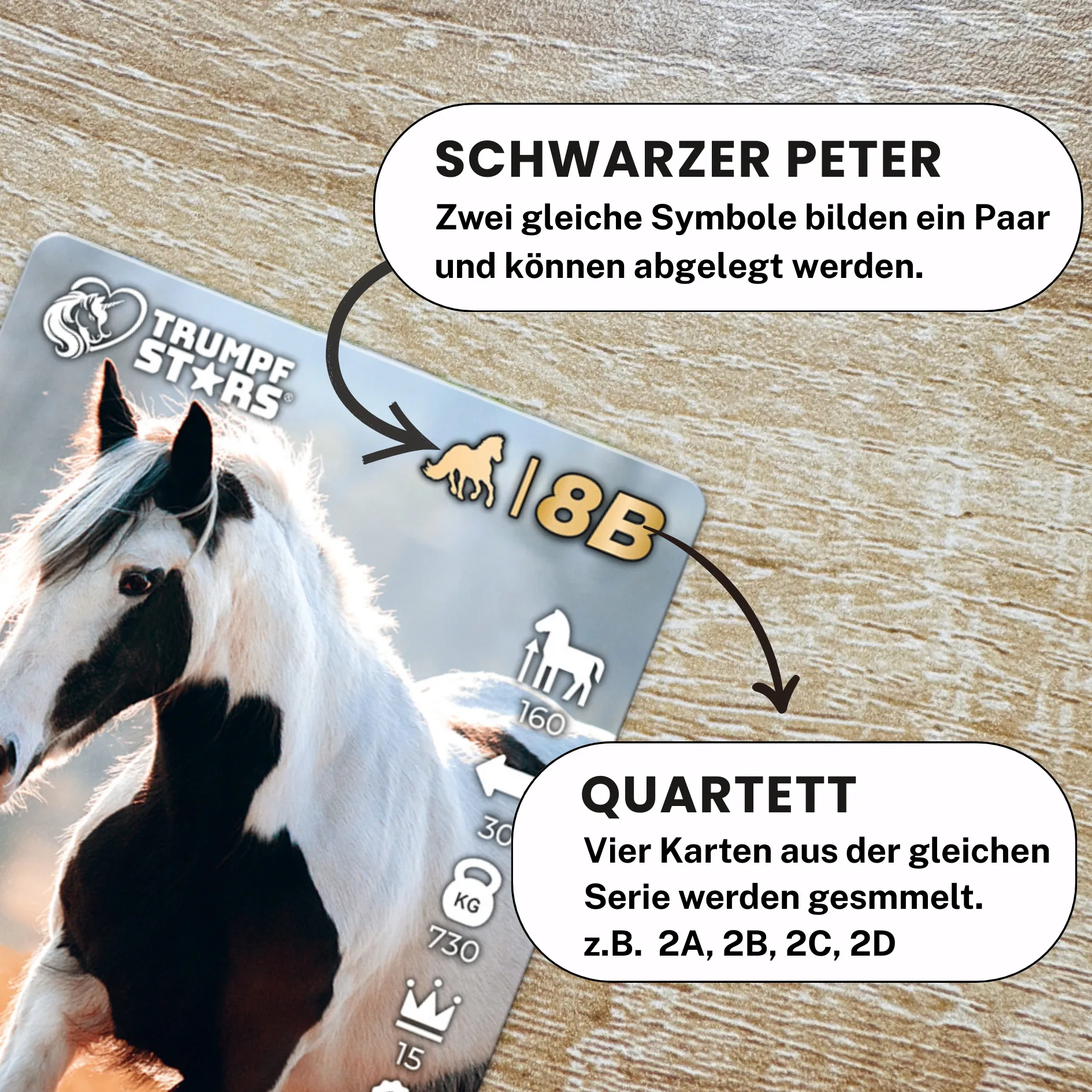 Trumpfstars - Pferde und Ponys (3 in 1)
