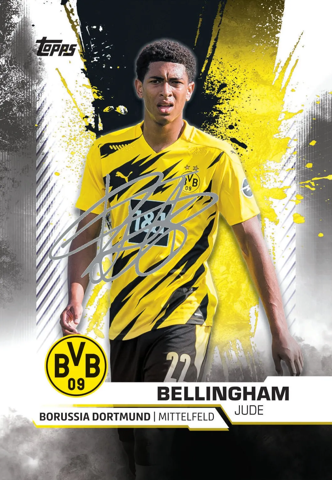 Topps BVB TEAM SET Sammelkarten