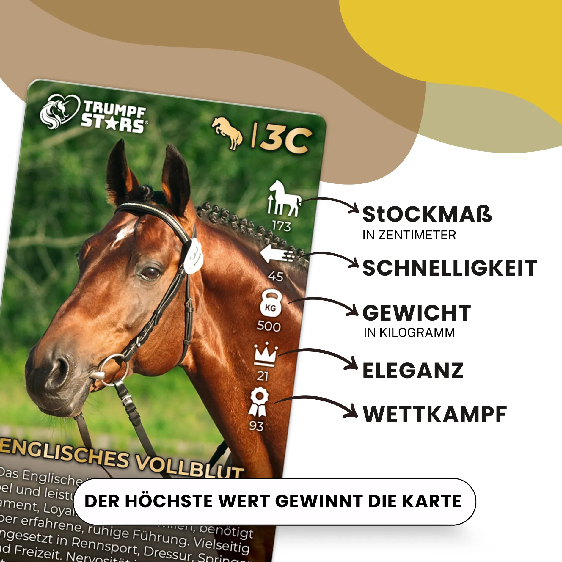 Trumpfstars - Pferde und Ponys (3 in 1)