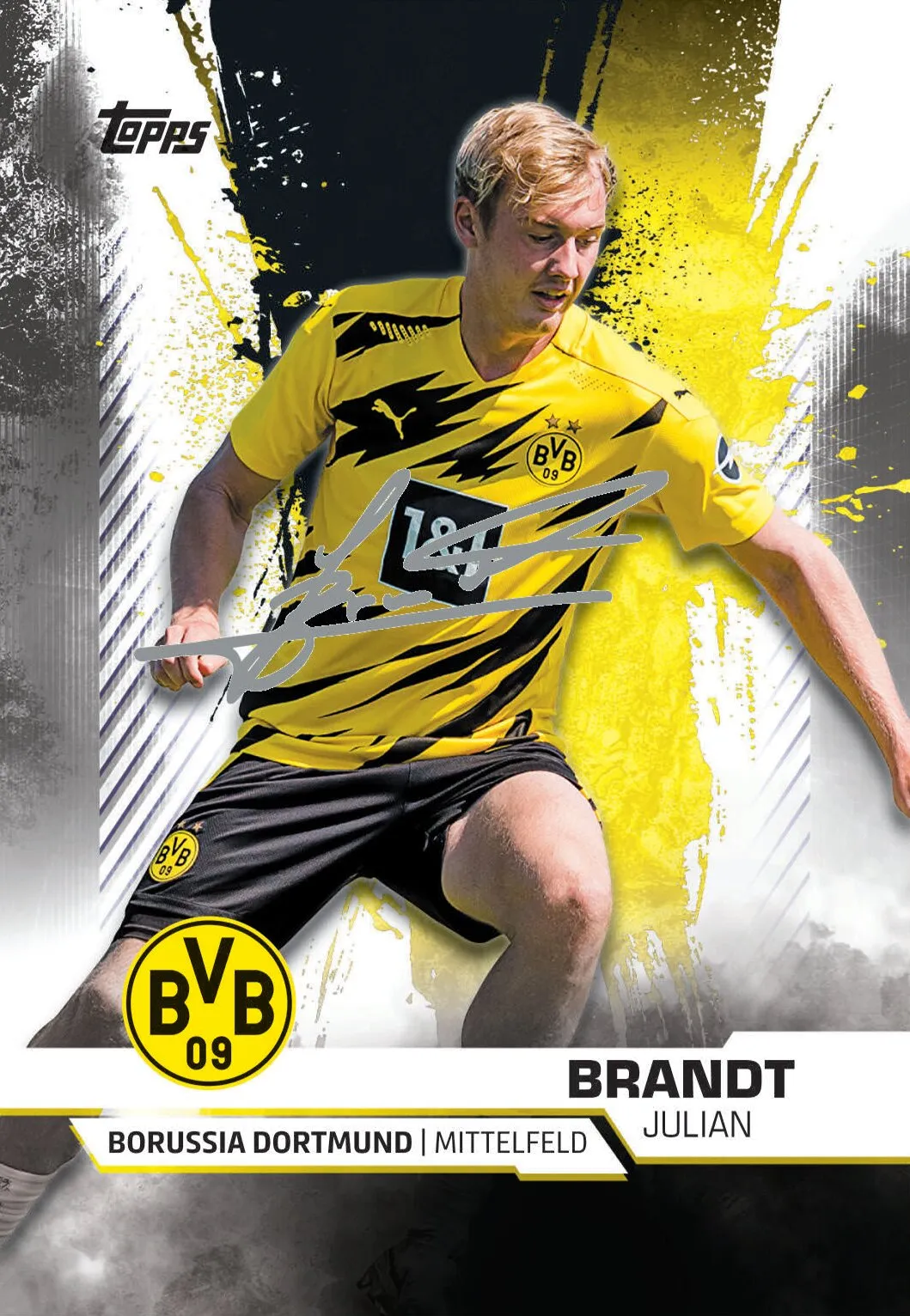 Topps BVB TEAM SET Sammelkarten