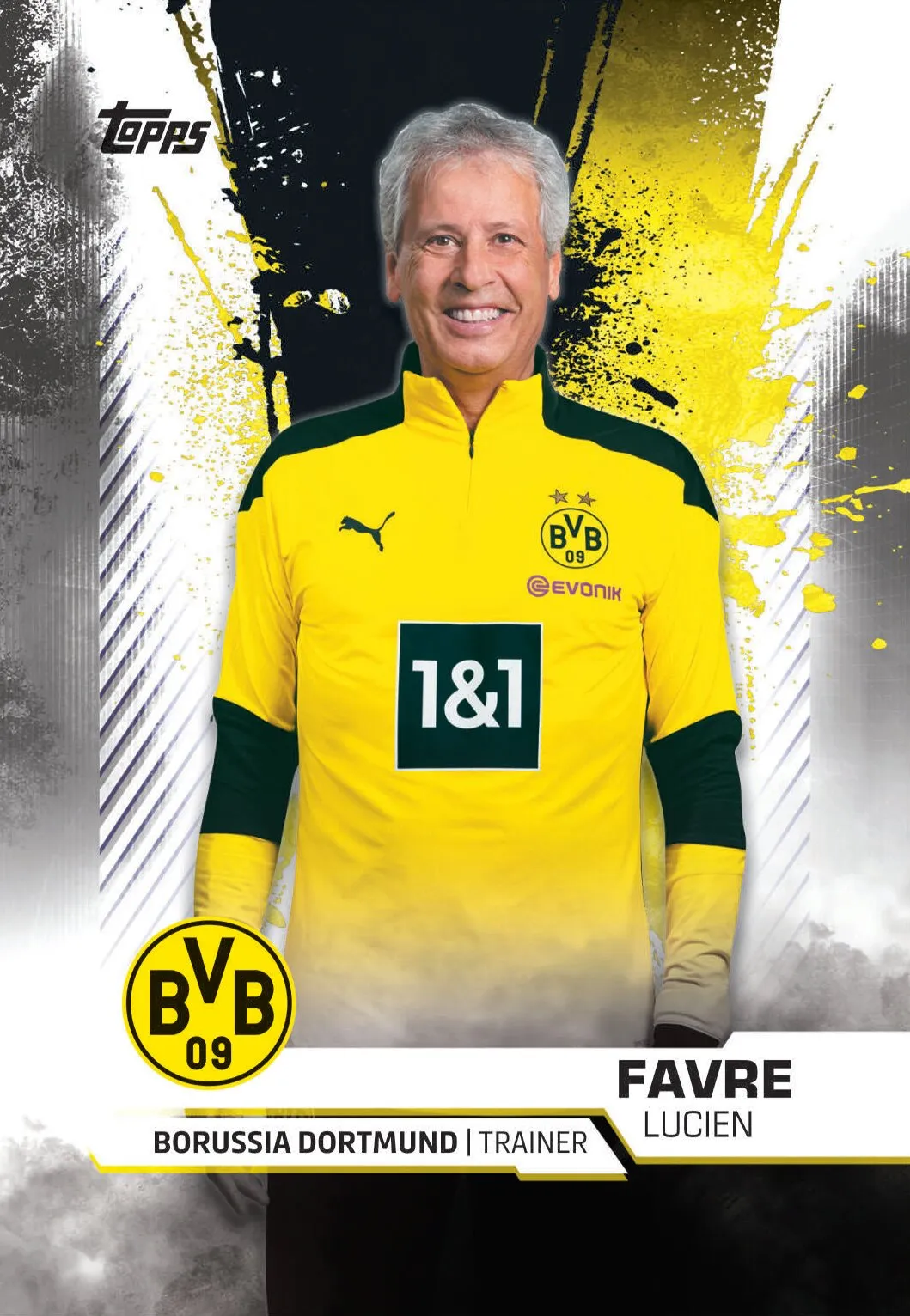 Topps BVB TEAM SET Sammelkarten