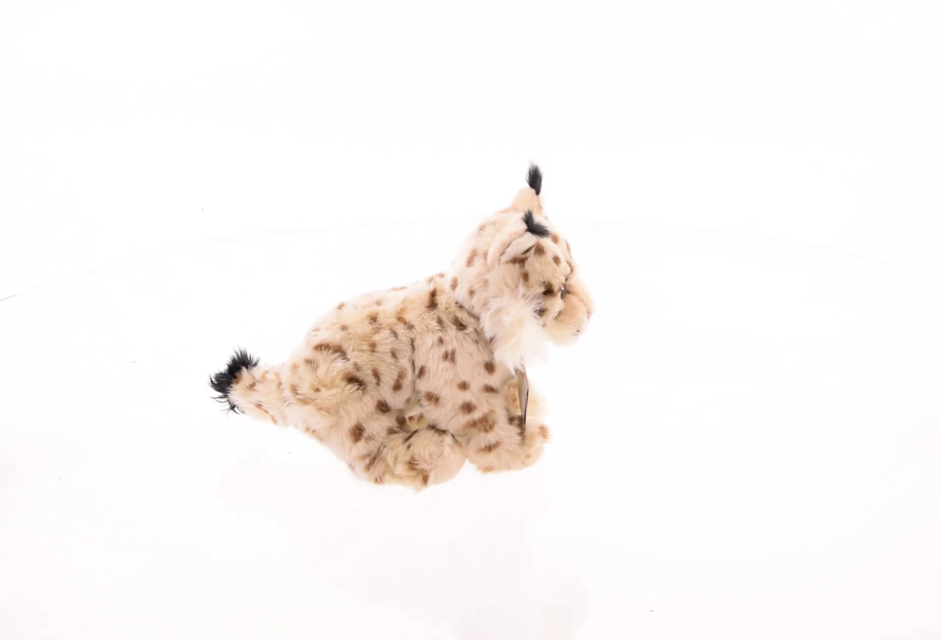 Plüschtier Luchs (25cm)