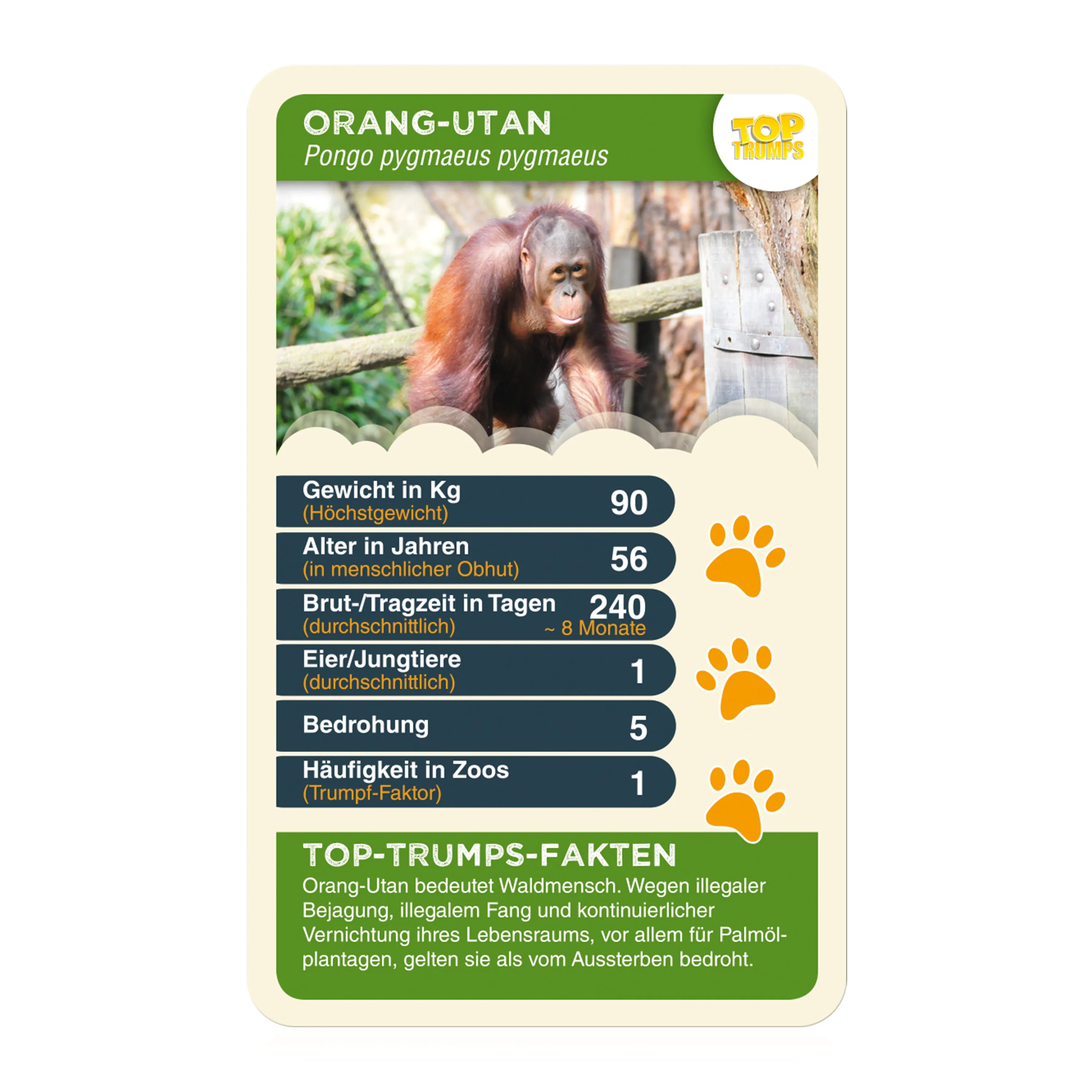 Monopoly Münster 2022 inkl. Top Trumps Quartettspiel