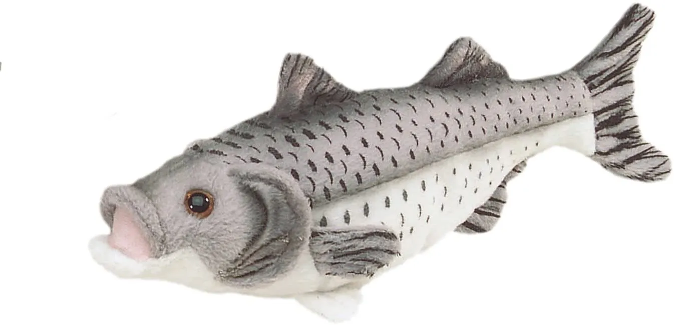 Bauer Spielwaren 14056 - Blickfänger Plüschtier - Seebarsch (grau, 25cm)